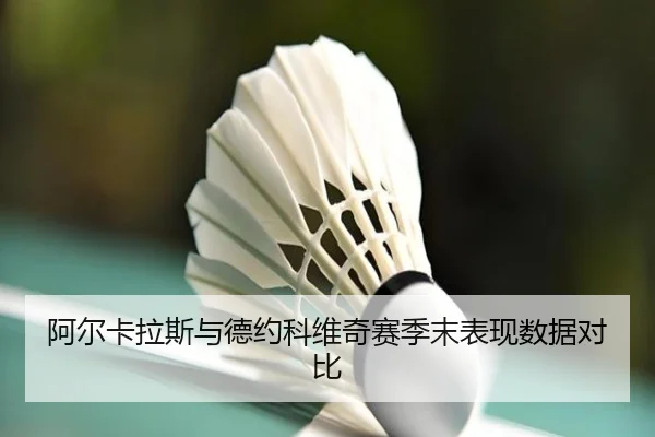 阿尔卡拉斯与德约科维奇赛季末表现数据对比 - fanyaesposts